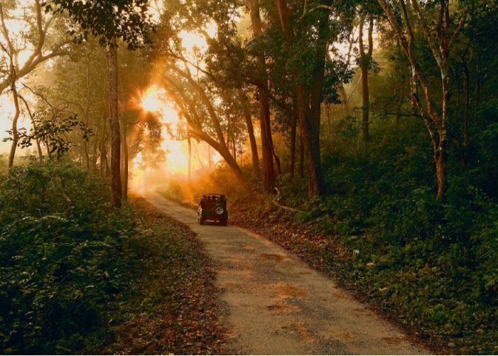 Jim Corbett to Delhi Cab Services