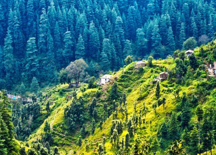 Delhi to Ranikhet Cab Services